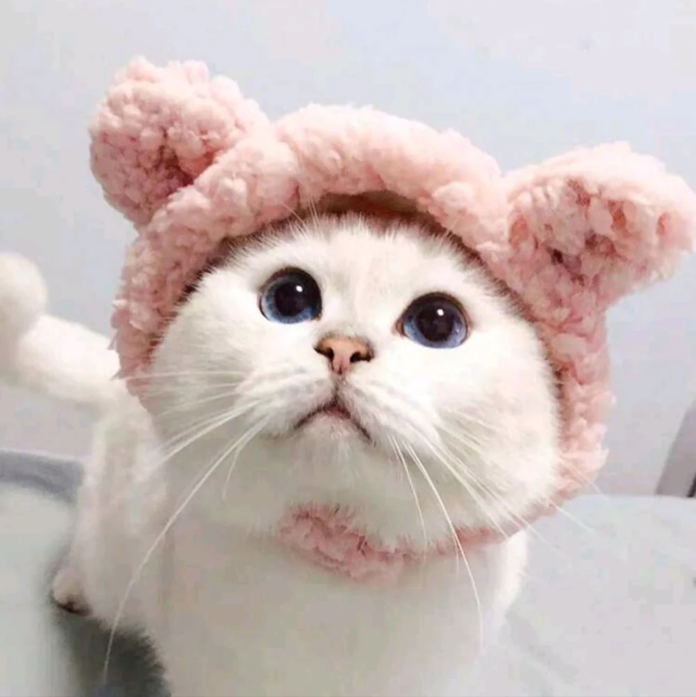 Pink panda hoodie for cat